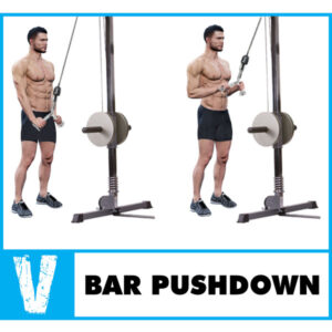 Rotating Bar V Handle with Rotation V-Shaped Bar LAT Pulldown Attachment BalanceFrom Tricep Press Down Cable Attachment Weight Machine Accessories Tricep Rope 